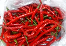 "MENYALA" Harga Cabai Merah di Pasar Inpres Lhokseumawe