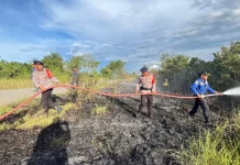Pembakaran Sampah Picu Kebakaran Lahan Alue Lim