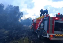 Muara Dua Memerah, 800 Meter Lahan Dilalap Api