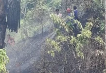 Kobaran Api Mengganas, Satu Hektare Lahan Terbakar di Cot Girek Kandang