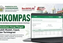 Inovasi DKPPP Lhokseumawe Digitalisasi Pendataan Harga Pangan