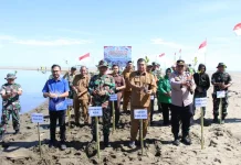 Forkopimda Pidie Jaya dan Warga Tanam 2.000 Mangrove di Pasi Aron