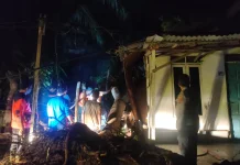 Hujan Deras Disertai Angin, Rumah Warga di Batuphat Timur Tertimpa Pohon