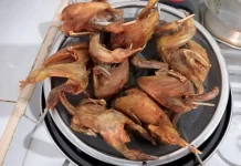 Daging Burung Puyuh, Sumber Protein Hewani yang Kaya Manfaat