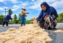 Ibu Syarifah, Udang Sabu dan Harapan yang Datang dari BPJS Ketenagakerjaan