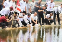 Pembudidaya Tambak di Aceh Timur Terima Benur Udang Vaname dari KKP