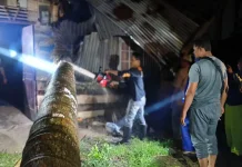 Pohon Tumbang Timpa Rumah Warga Banda Masen, Rusak Berat