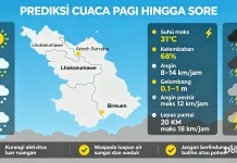 Prediksi Cuaca BMKG: Cerah berawan Berawan Pagi, Potensi Hujan Sore Hari