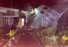 Pohon Kelapa Tumbang Timpa Rumah Warga Banda Masen
