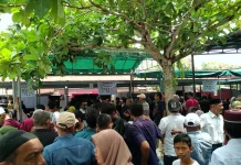 Masyarakat Gampong Tumpok Teungoh Antusias Mengikuti Pemilihan Keuchik