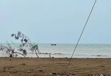 DKP Aceh Utara Imbau Masyarakat Laporkan jika Melihat ada Aktivitas Pukat Trawl