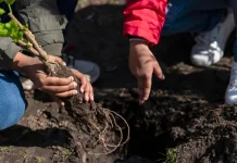 Gotong Royong dan Tanam Pohon Jadi Upaya Cegah Banjir
