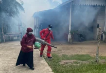 Kasus DBD di Kabupaten Aceh Utara Tahun 2026 ini Menurun