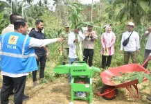 Kelompok Tani Desa Ujung Pacu Binaan PLN Arun Panen Perdana