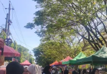 UMKM Tangguh di tengah Krisis, Jangan Sampai Negara Terlalu Terbiasa