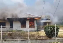Kantor dan Alat Berat PT Bumi Flora Dibakar Massa, Manajemen Minta Aparat Bertindak