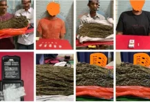 Satresnarkoba Polres Pidie Jaya Ungkap 4 Kasus Narkotika, Sabu dan Ganja Disita