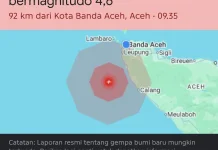 Gempa Magnitudo 4,6 Terdeteksi di Banda Aceh