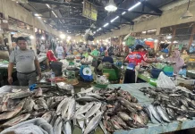 Aktivitas Pasar Tradisional, Ikan Segar di tengah Kesibukan Warga
