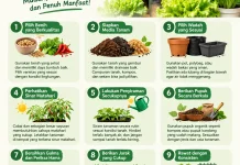 Tips Menanam Pohon Cabai dan Sayur-Sayuran