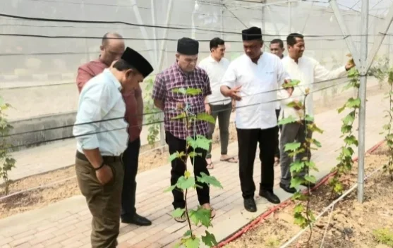 Budidaya Anggur Jadi Inovasi Pembelajaran di SMKN 1 Peureulak