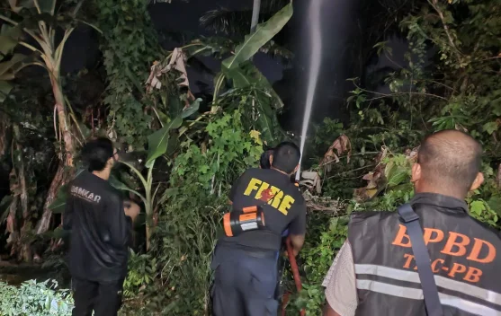 Warga Dikejutkan Kebakaran Pohon Aren saat Tarawih