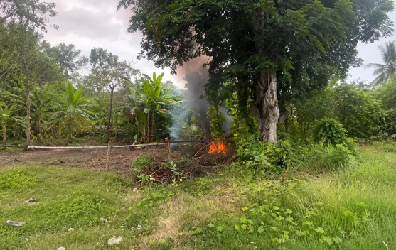Bakar Sampah di Pekarangan, Praktis tapi Berisiko