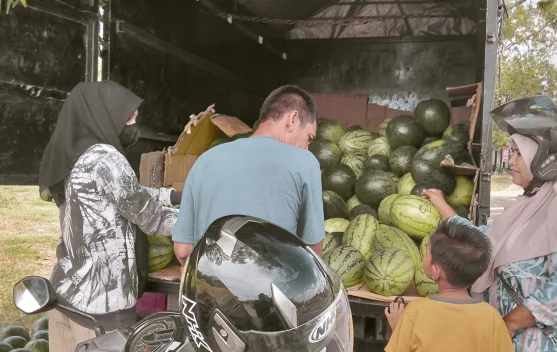Cuaca Panas Penjualan Semangka Laris Manis