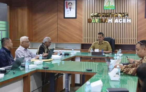 Migas Blok Andaman, Sejumlah Korporasi Lirik Hilirisasi KEK Arun