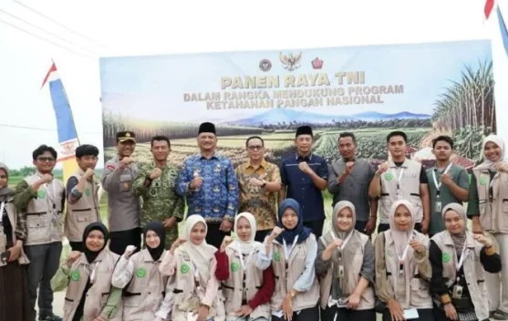 Panen Raya TNI di Aceh Tamiang Perkuat Swasembada Pangan Nasional