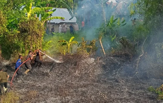 Lahan 2,5 Hektare di Panggoi Dilalap Api