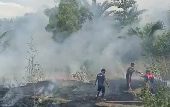 Kebakaran Lahan Gambut di Meunasah Blang Lhokseumawe Berhasil Dipadamkan