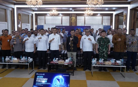 Sebanyak 57 Ribu Hektare Sawah Terdampak, Aceh Pacu Pemulihan Pertanian