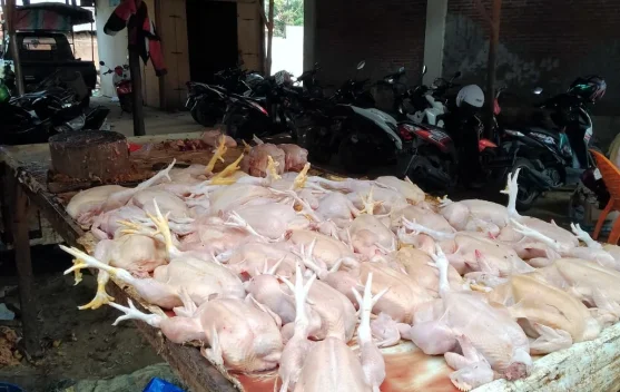 Harga Daging Ayam dan Bawang Merah Turun, Cabai Merah Keriting Naik