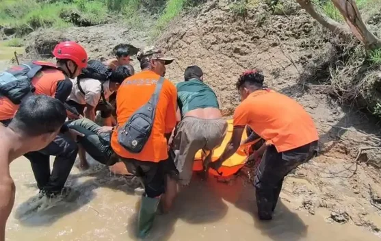 Warga Aceh Timur Meninggal Diterkam Buaya saat Cari Ikan di Sungai