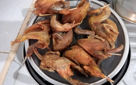 Daging Burung Puyuh, Sumber Protein Hewani yang Kaya Manfaat