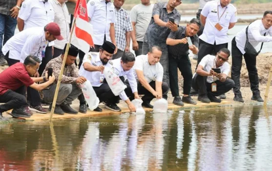 Pembudidaya Tambak di Aceh Timur Terima Benur Udang Vaname dari KKP