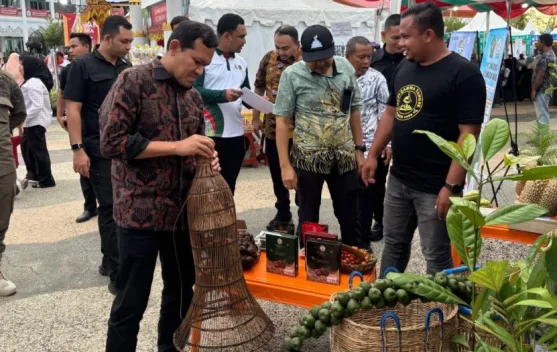 Wagub Aceh Kunjungi Stand Expo UMKM Pidie