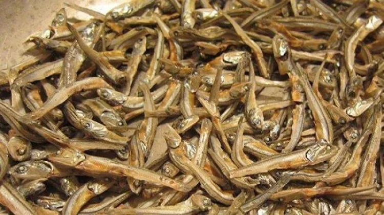 Teri: Ikan Kecil Bermanfaat Mengurangi Risiko Demensia dan Penyakit Alzheimer