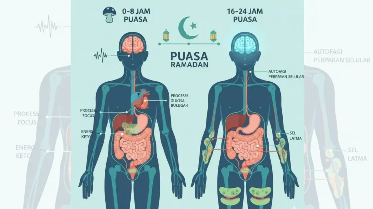 Ini yang Terjadi pada Tubuh saat Berpuasa, Penjelasan Dokter Dinkes Madiun