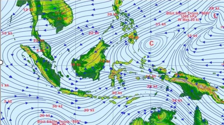 Cuaca Madiun Raya 8-10 Maret, Didominasi Hujan Ringan-Sedang