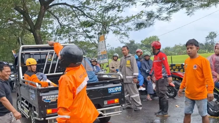 Pohon Tumbang di Jalur Magetan-Ngawi Sebabkan Korban Jiwa