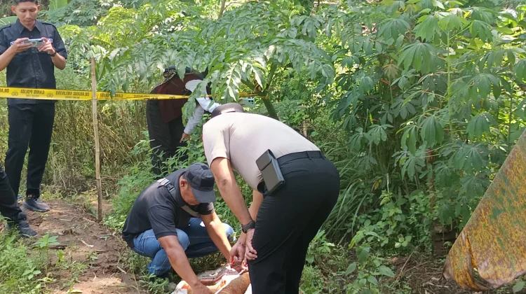 Warga Ponorogo Temukan Mortir di Pinggir Sungai