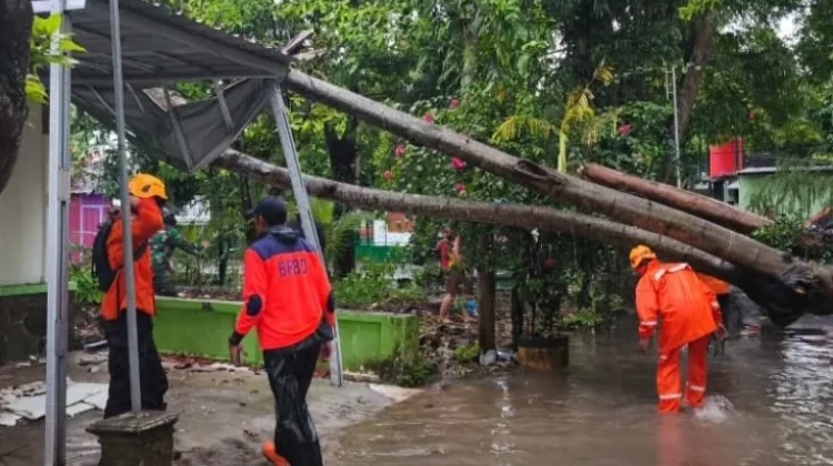 Sebulan, BPBD Ponorogo Catat 36 Kejadian Bencana
