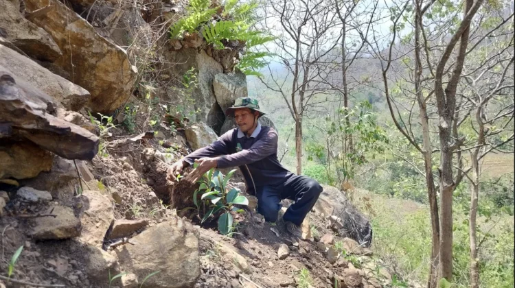 Rimba Loreng Ponorogo Lakukan Penghijauan untuk Selamatkan Sumber Mata Air