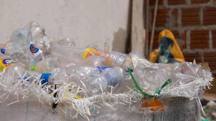 Pengganti Plastik dengan Alternatif Ramah Lingkungan