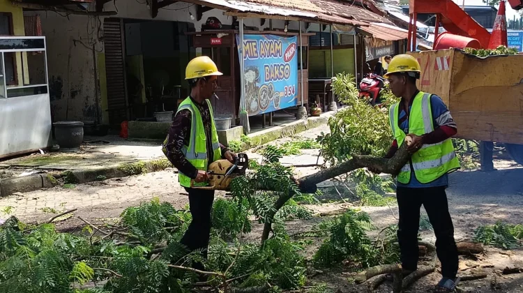 DLH Ponorogo Lakukan Pemangkasan Dahan, Ini Lokasinya