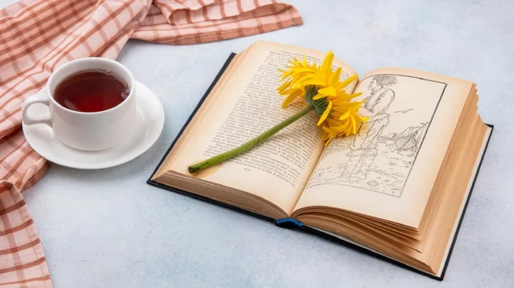 Hari Puisi Nasional, Ini 10 Buku Puisi Terbaik Indonesia