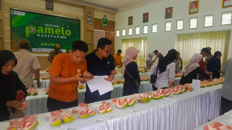Festival Pamelo Magetan Dorong Semangat Petani dan Penguatan Pariwisata Daerah