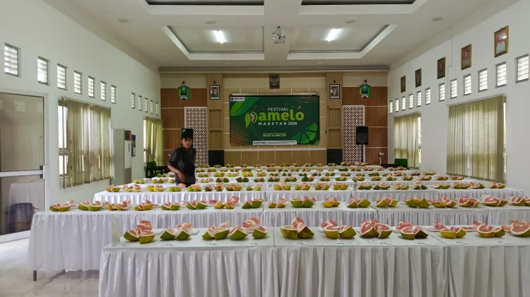 Ratusan Ribu Pohon Pamelo Jadi Basis Produksi Unggulan Magetan